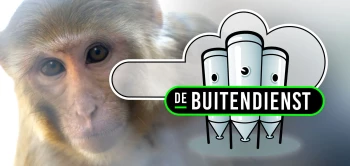 blog buitendienst