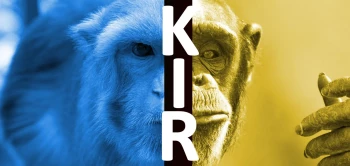 blog kir receptoren
