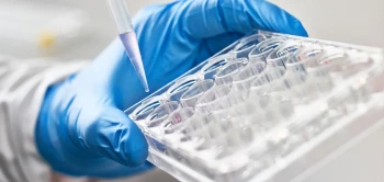 blog lactoferrin