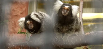 blog marmo new housing ScaleWidthWzE1MDBd