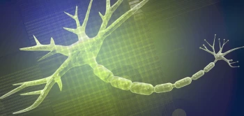 blog neurofeedback