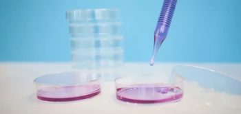blog organoids
