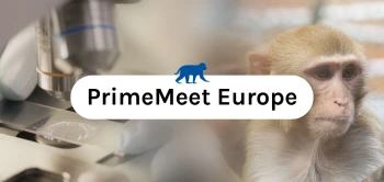 blog website primemeet