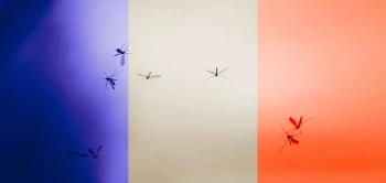 blog zika france