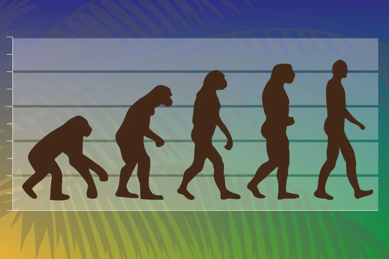Why monkeys