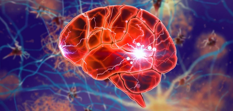 Onderzoeker Neurobiologie & Veroudering